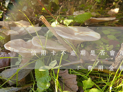 信用卡不逾期是否會產生手續(xù)費？費用金額是多少？